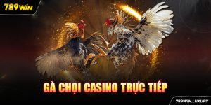 đá gà Casino trực tiếp