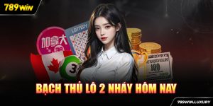 bạch thủ lô 2 nháy hôm nay