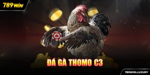 Đá gà Thomo C3