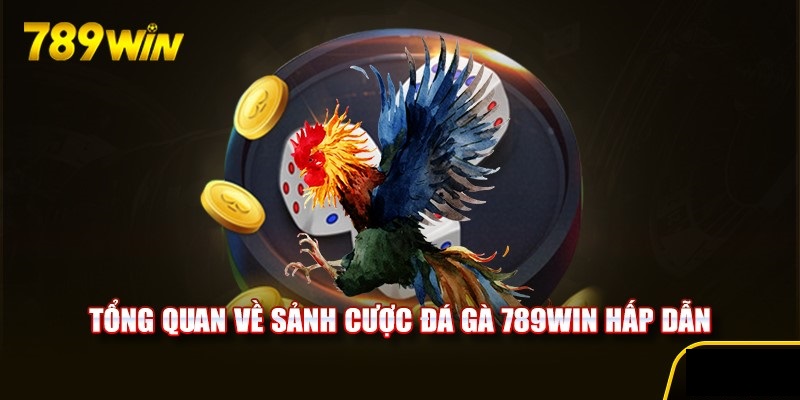 Nên xem đá gà trực tiếp cựa dao tại nhà cái 789Win