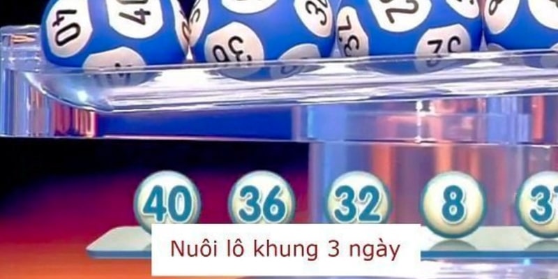 Bạc nhớ nuôi khung 3 ngày