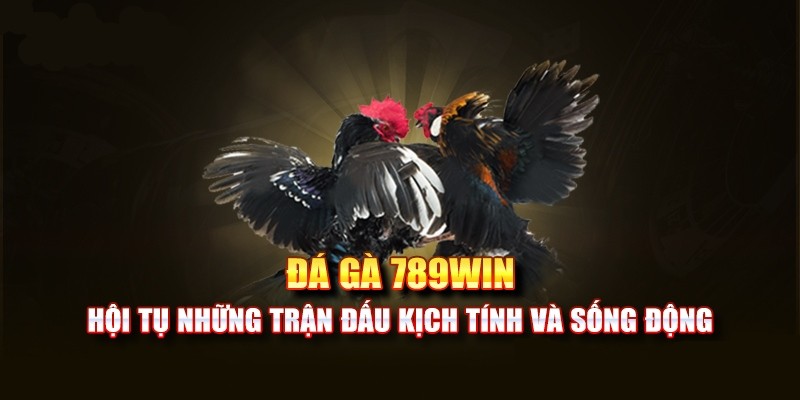 Đôi nét về bộ môn đá gà 789win hấp dẫn nhất hiện nay