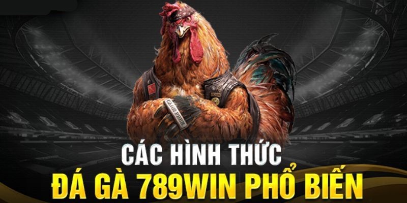 789win sở hữu nhiều hình thức đá gà hấp dẫn