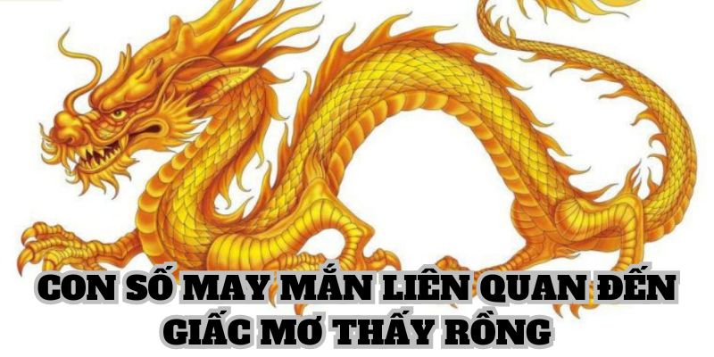 Tổng hợp một vài con số may mắn liên quan đến giấc mơ về rồng 