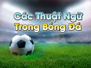 thuật ngữ cá độ bóng đá