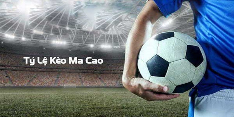 Bí quyết bắt kèo cược Macao hiệu quả, đơn giản từ chuyên gia